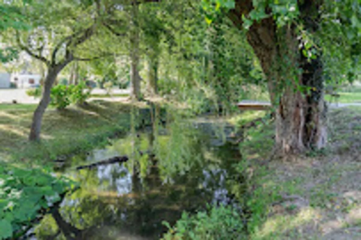 La Maison Josélise - Photo 8