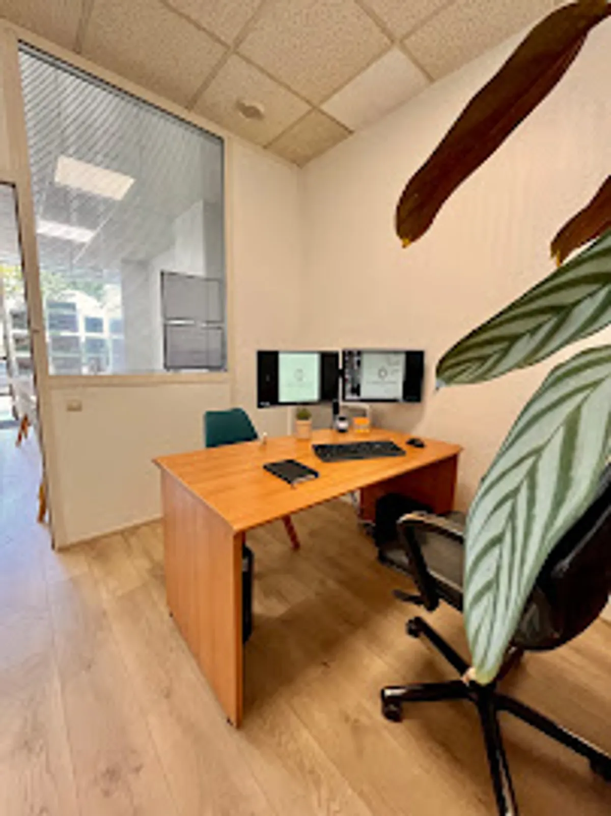 La Nuit d'Emeraude Conciergerie - Photo 7