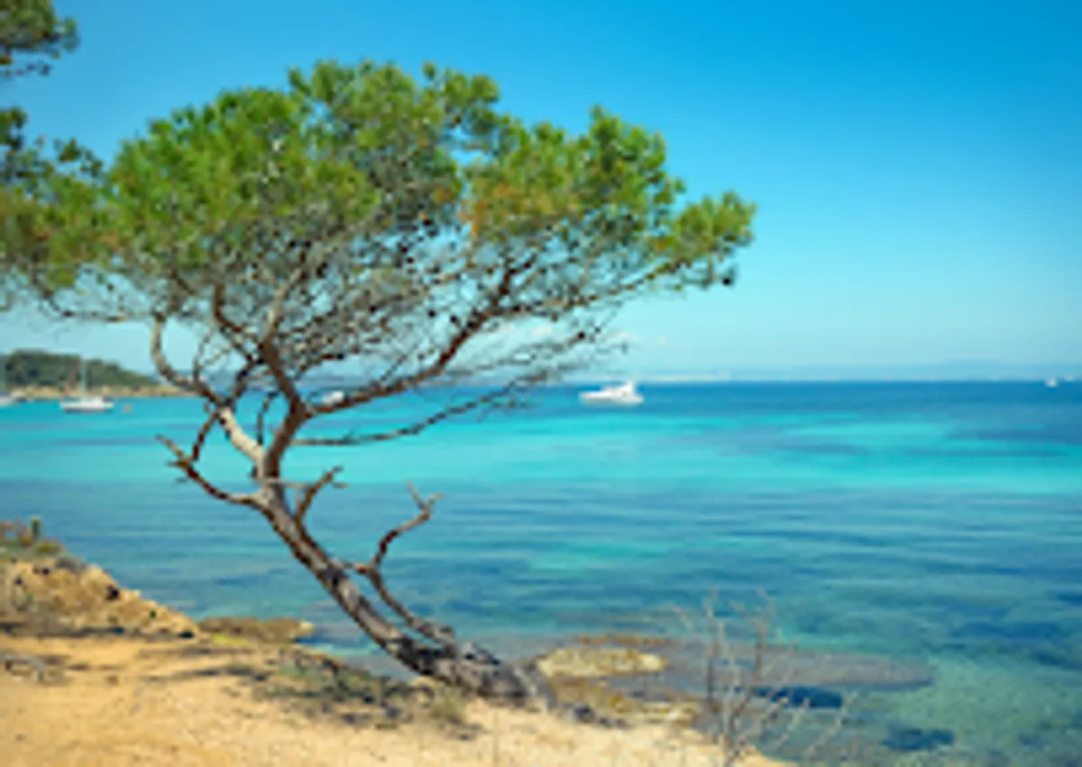La Parenthèse - Conciergerie premium sur Hyères et alentours - Photo 2