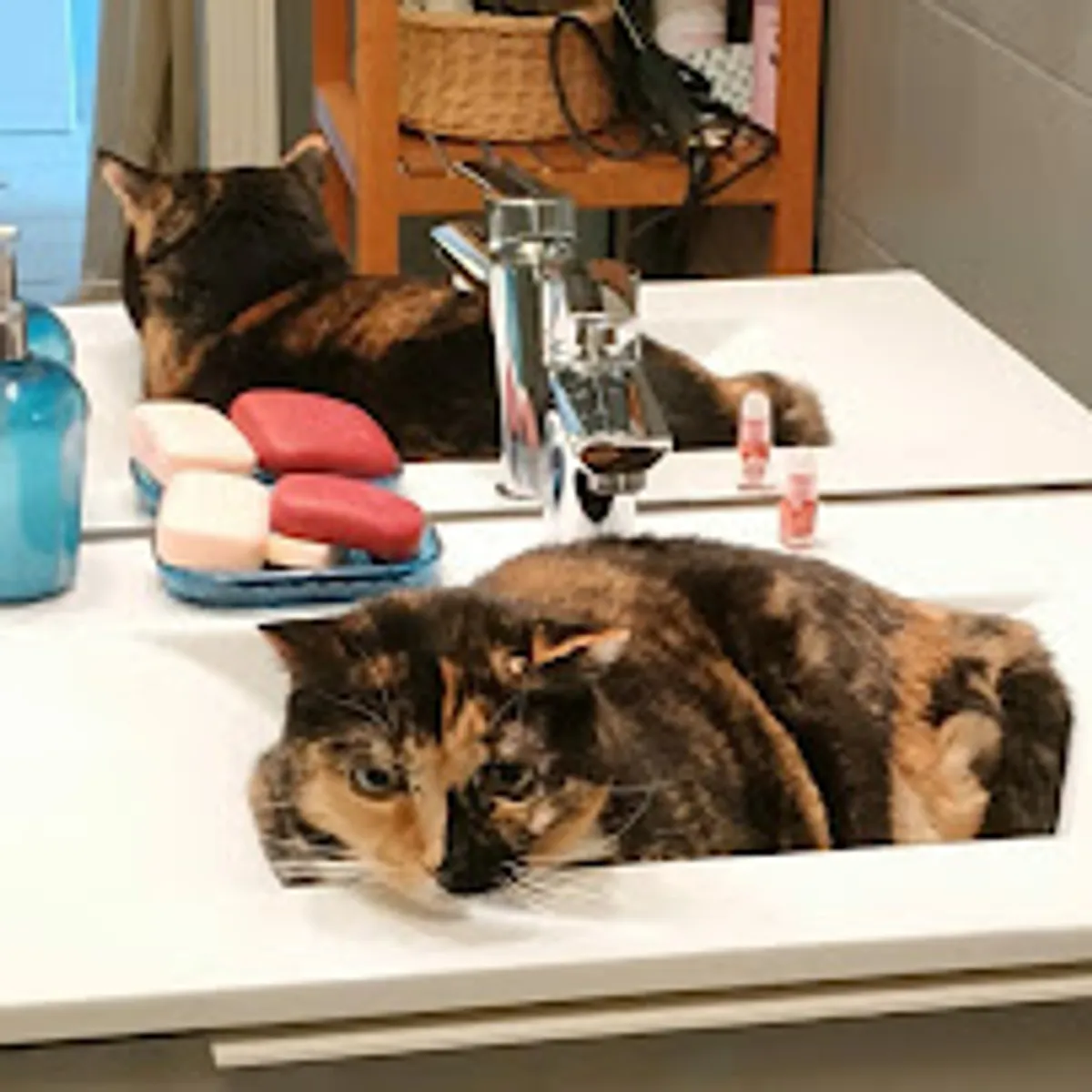 La Voisinnerie conciergerie - nettoyage écologique - Photo 2