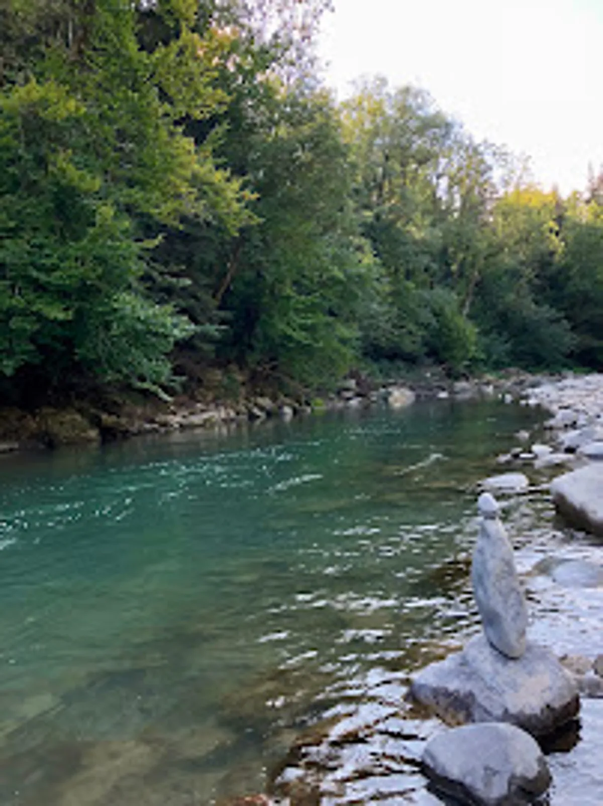 L'alpage de la Bergerie de Naves - Photo 6
