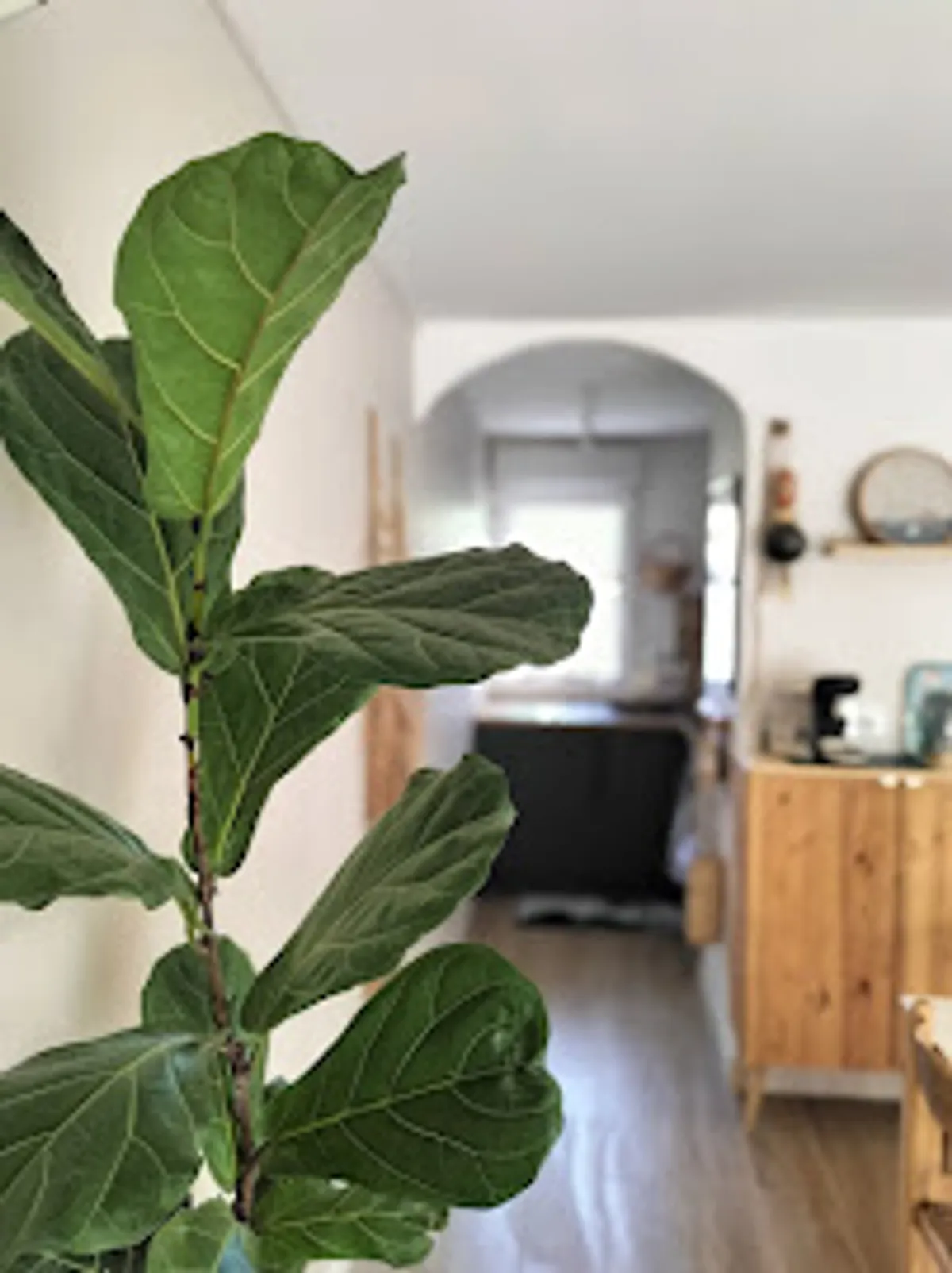 L'Atelier Salé Décoration Conciergerie - Photo 8