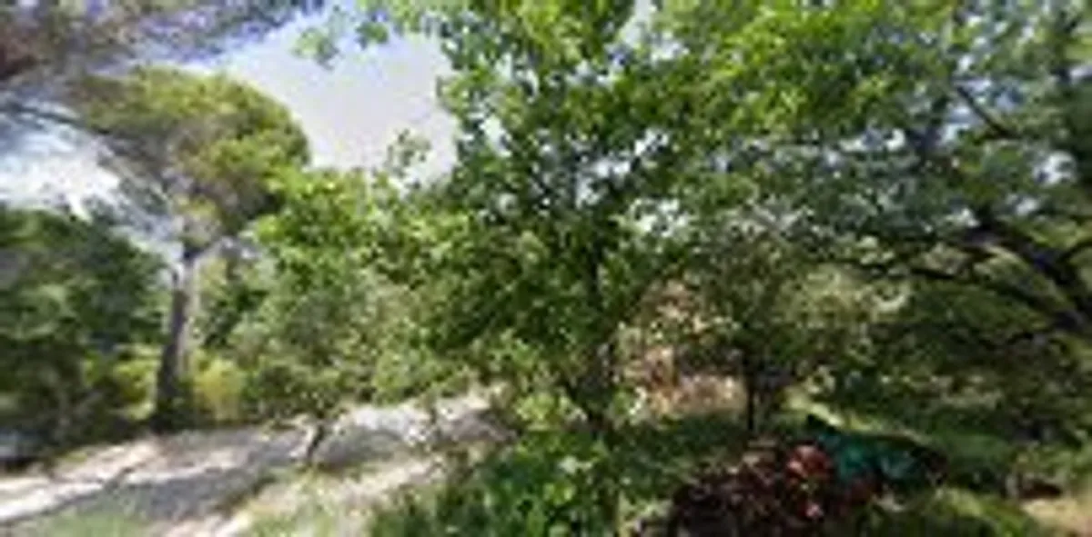 Le Bureau de Caroline - Photo 5