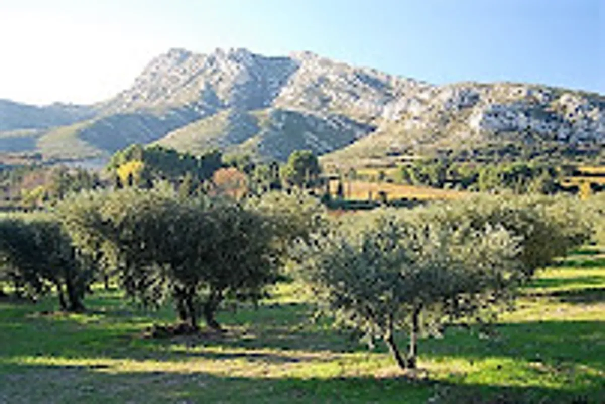 le Concierge en Provence - Photo 8