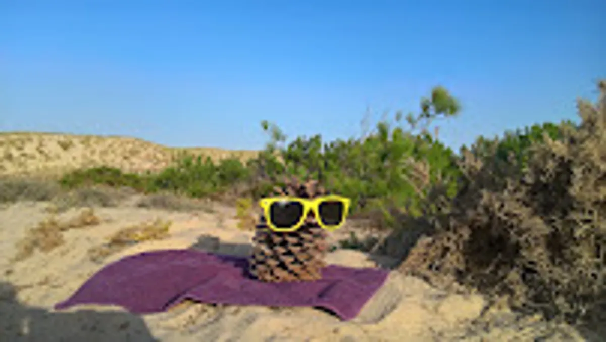 L'effet clochette 33 Service de Conciergerie - Photo 3