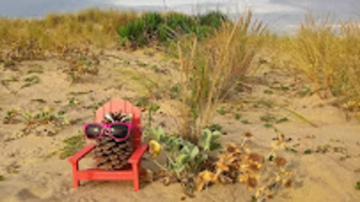 L'effet clochette 33 Service de Conciergerie - Photo 6