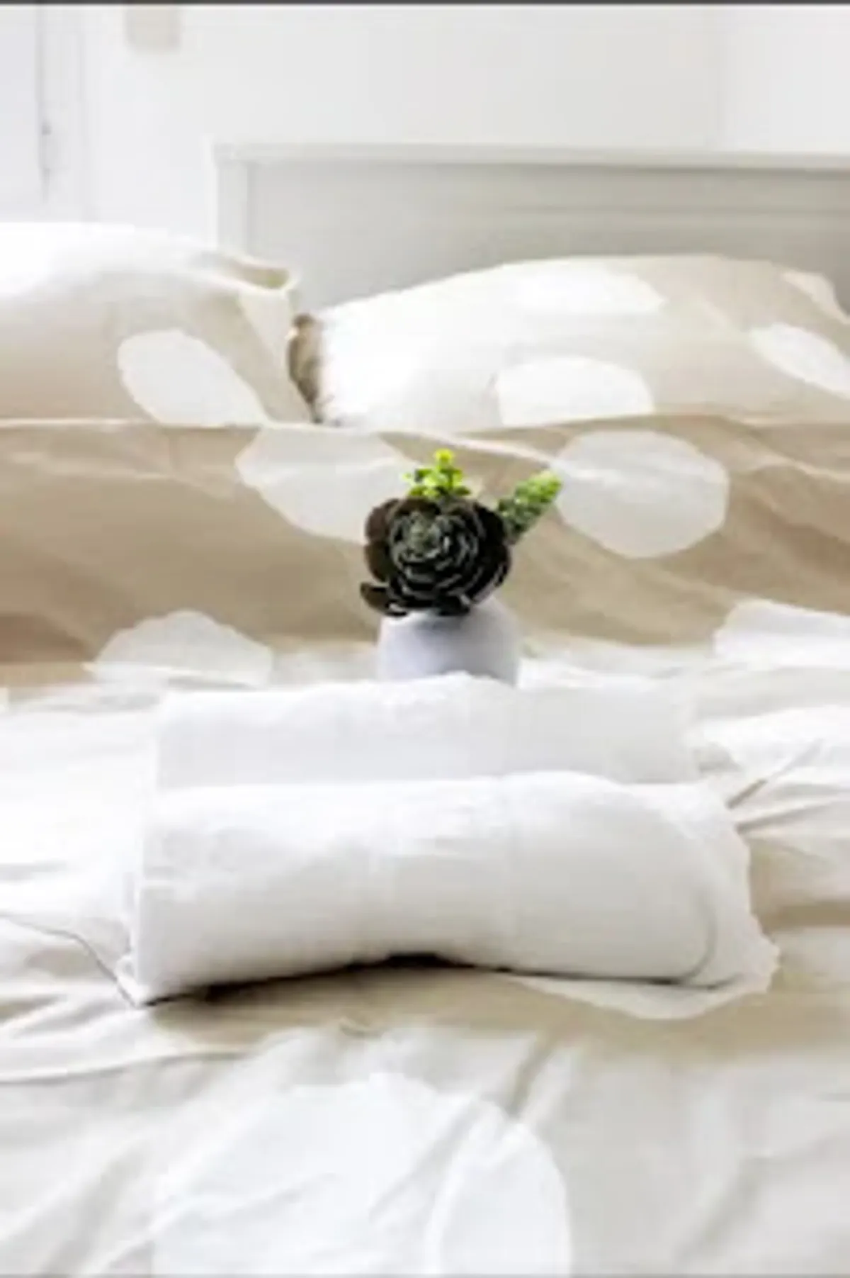 LES 4 AILES | Location Airbnb Disneyland Paris - Photo 5