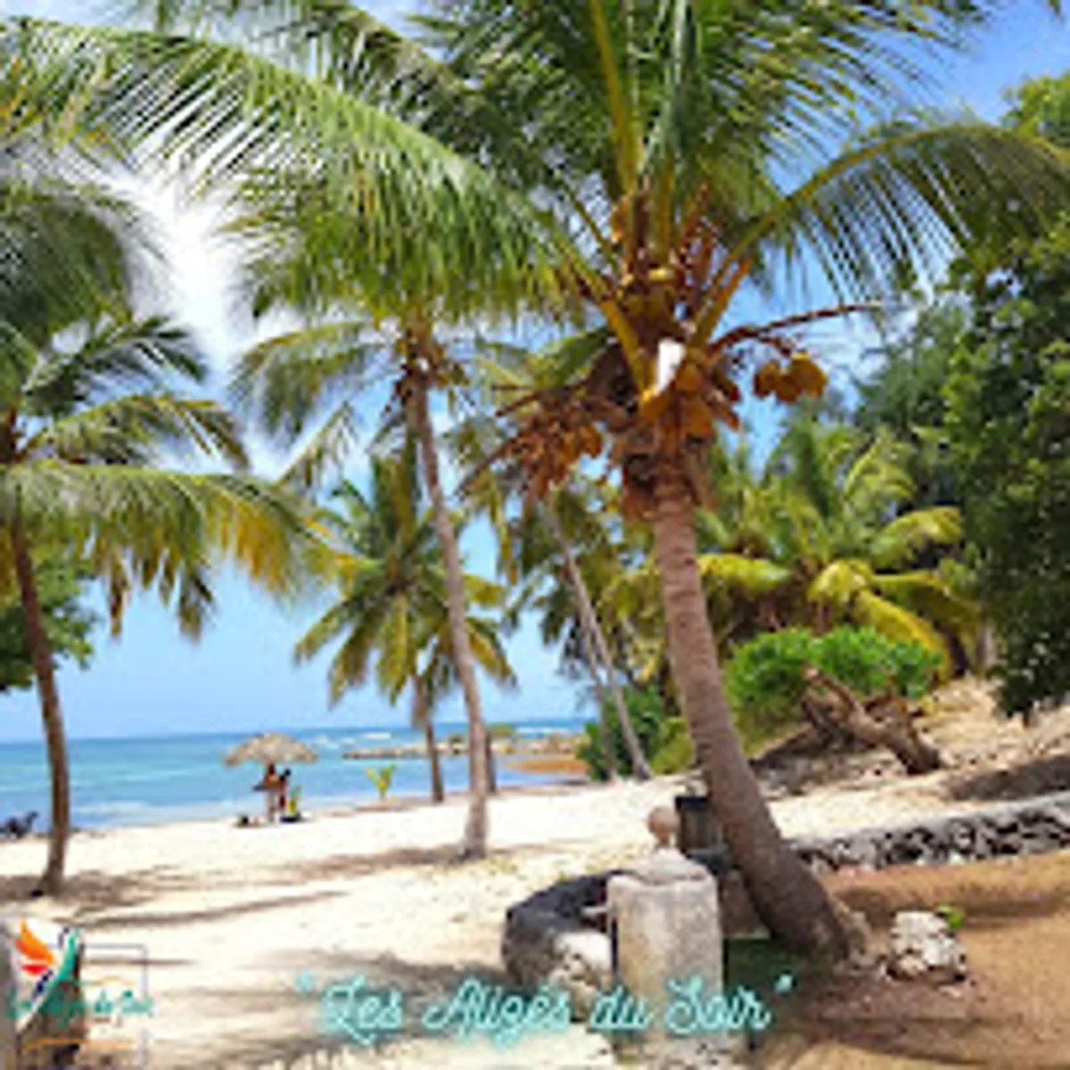 Les Alizés du Soir - Photo 2