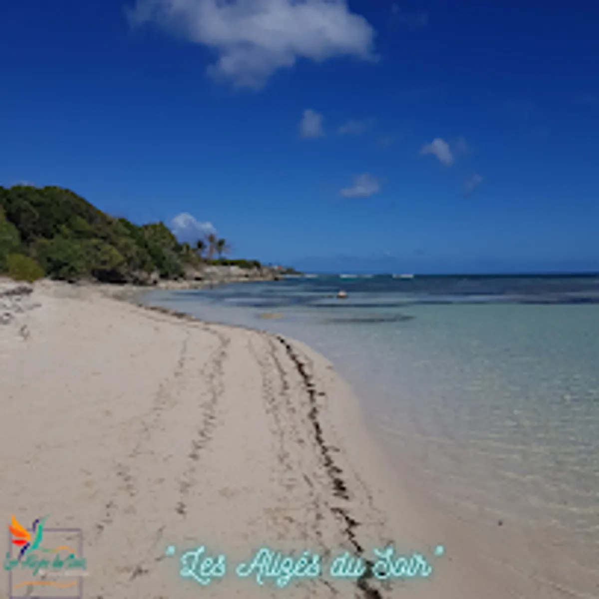 Les Alizés du Soir - Photo 4