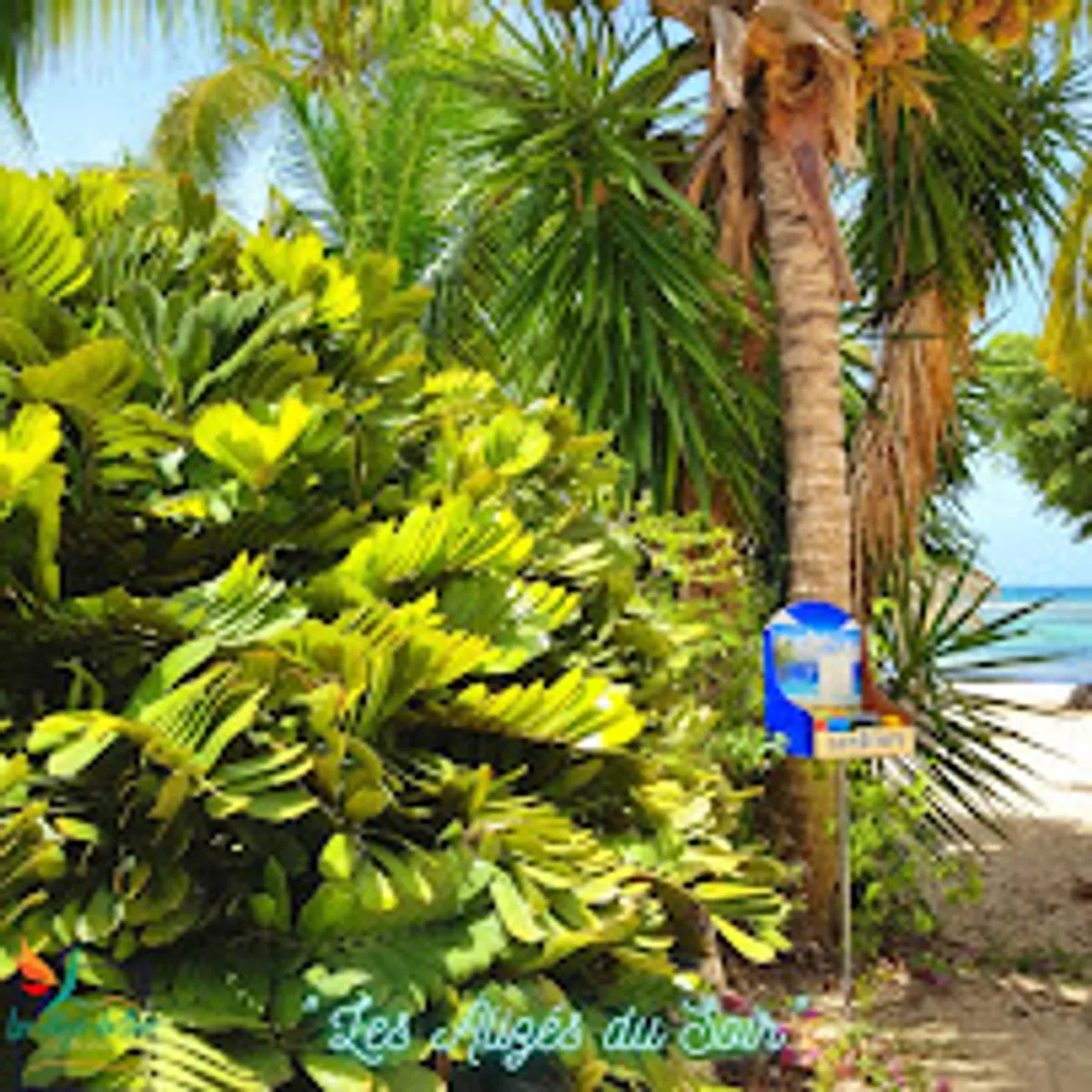 Les Alizés du Soir - Photo 5