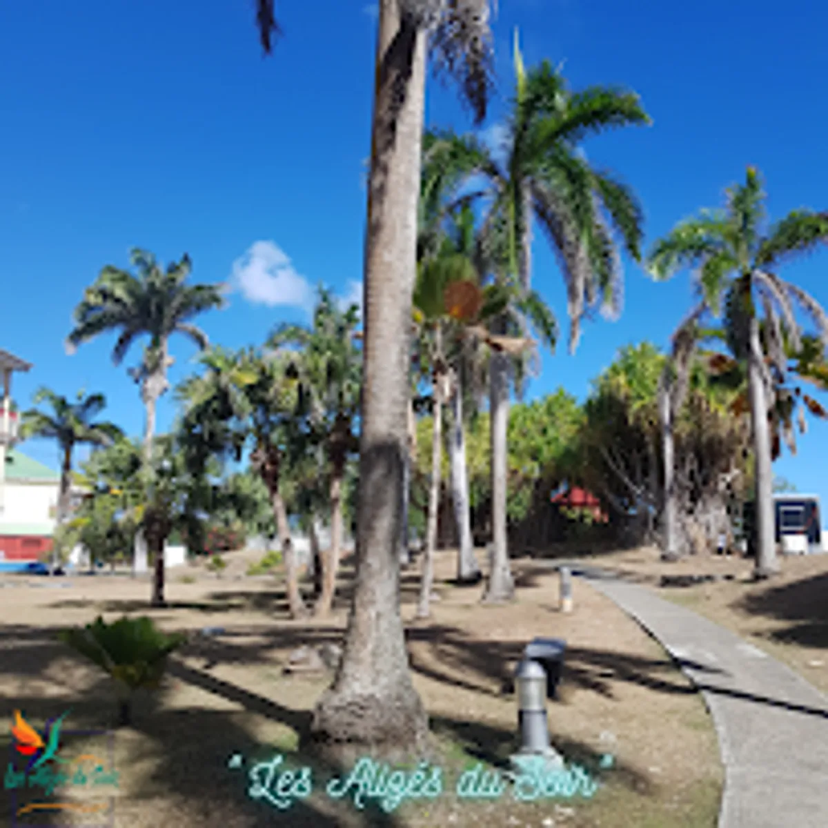 Les Alizés du Soir - Photo 6