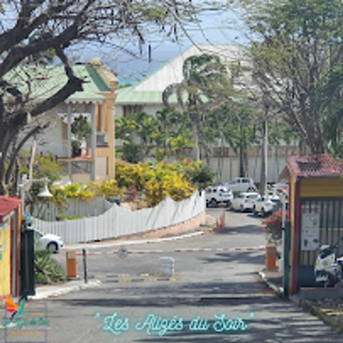 Les Alizés du Soir - Photo 8