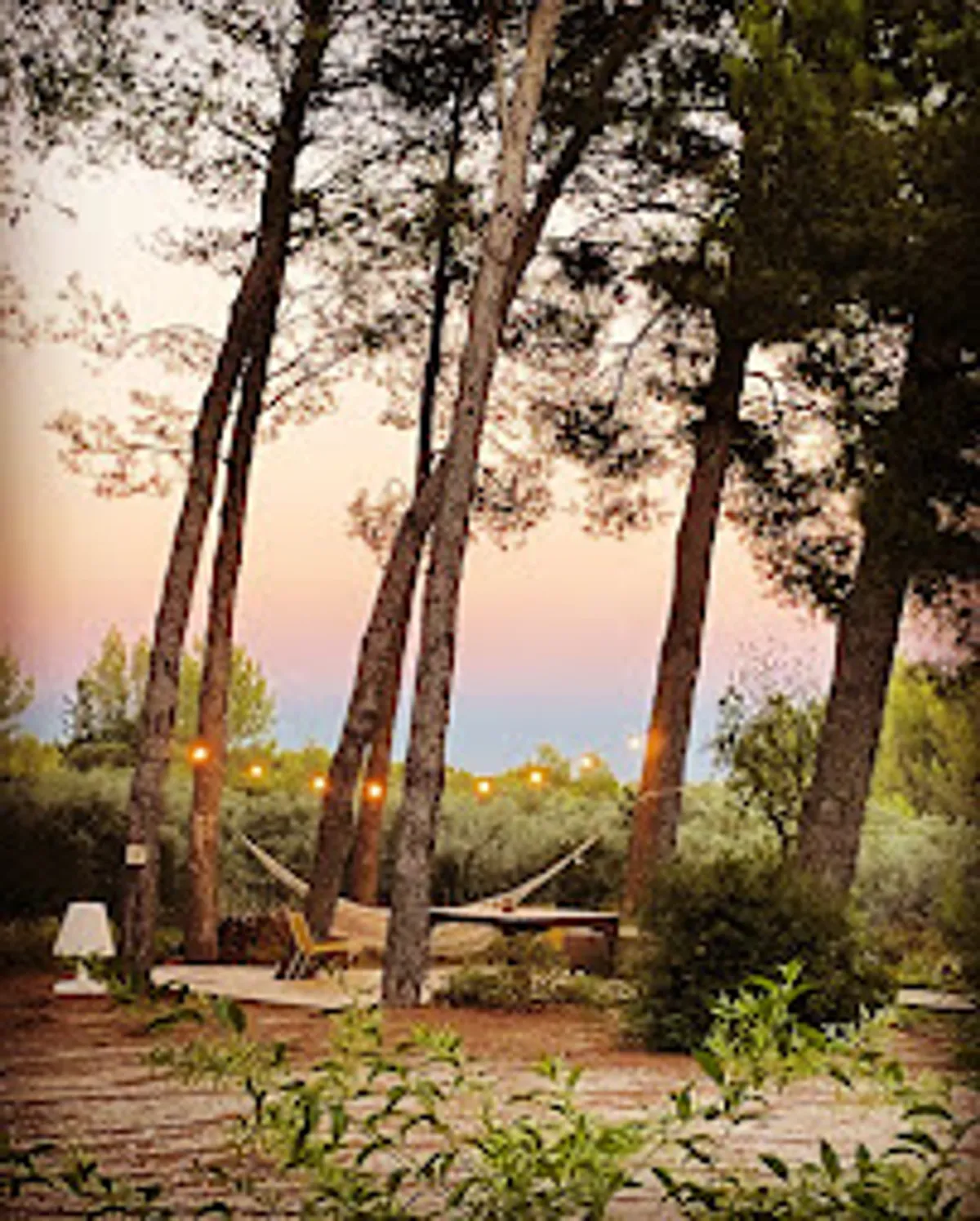 Les Alpilles de Lucie - Photo 7