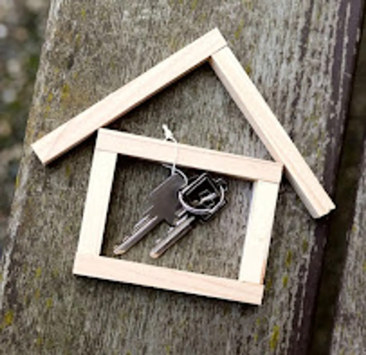 les boniches conciergerie - Photo 2