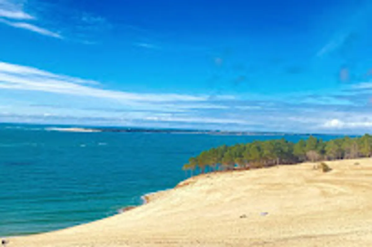 LES CLEFS D'OR DU BASSIN - CONCIERGERIE - Photo 5