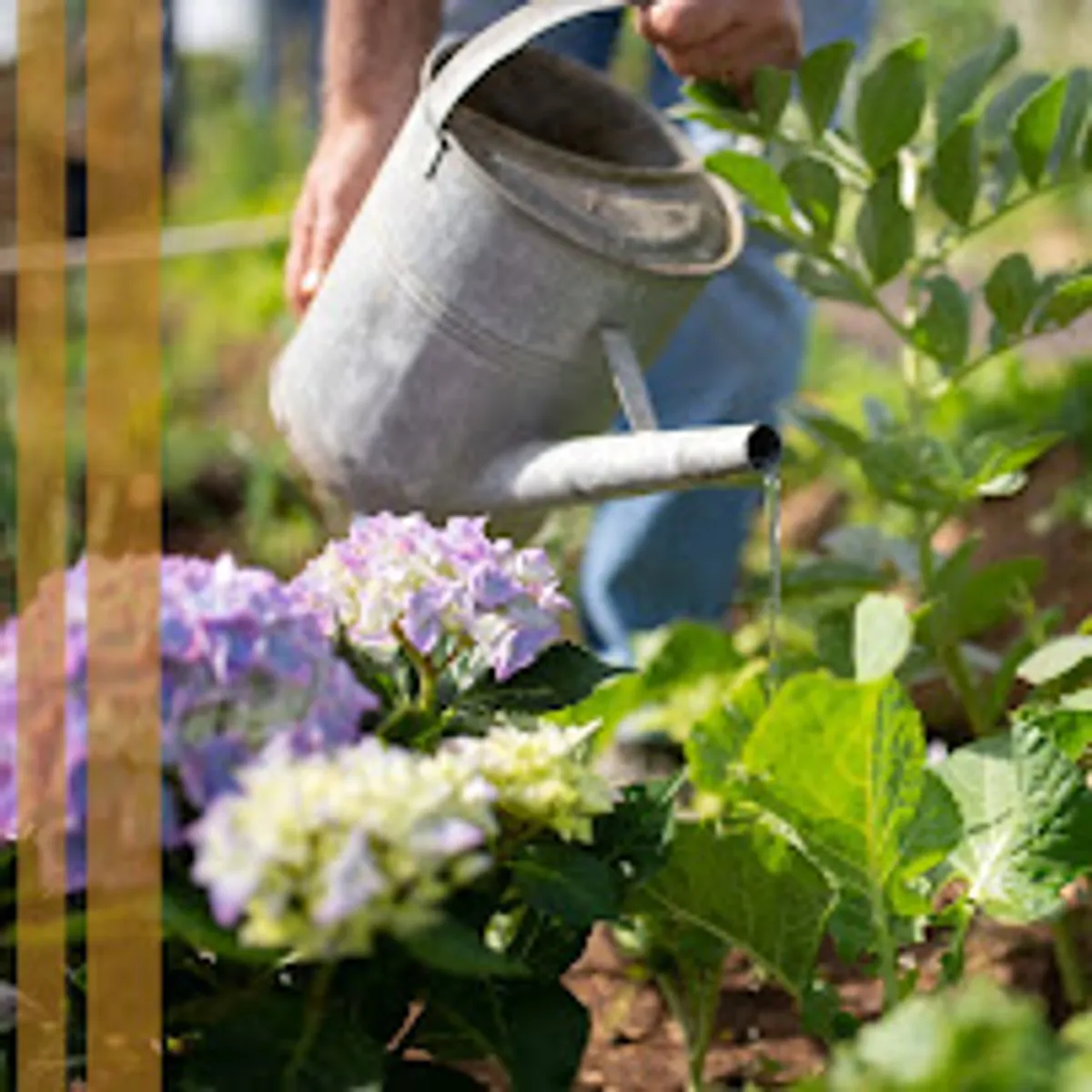 Les Clés de Denis - conciergerie touristique en Haute Gironde - Photo 2
