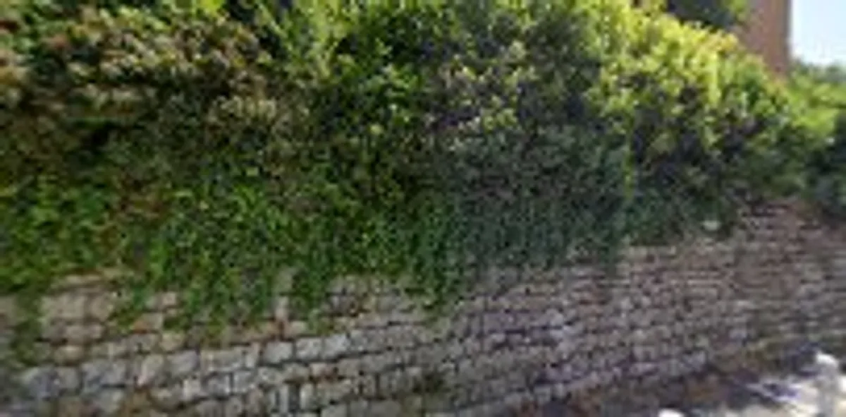 Les clés du cabanon conciergerie