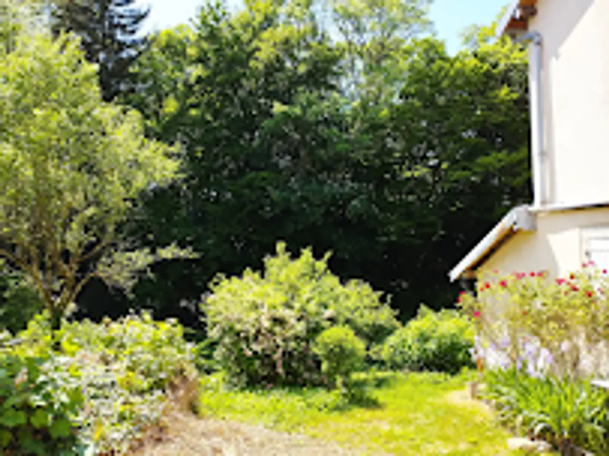 Les Glycines - Photo 6