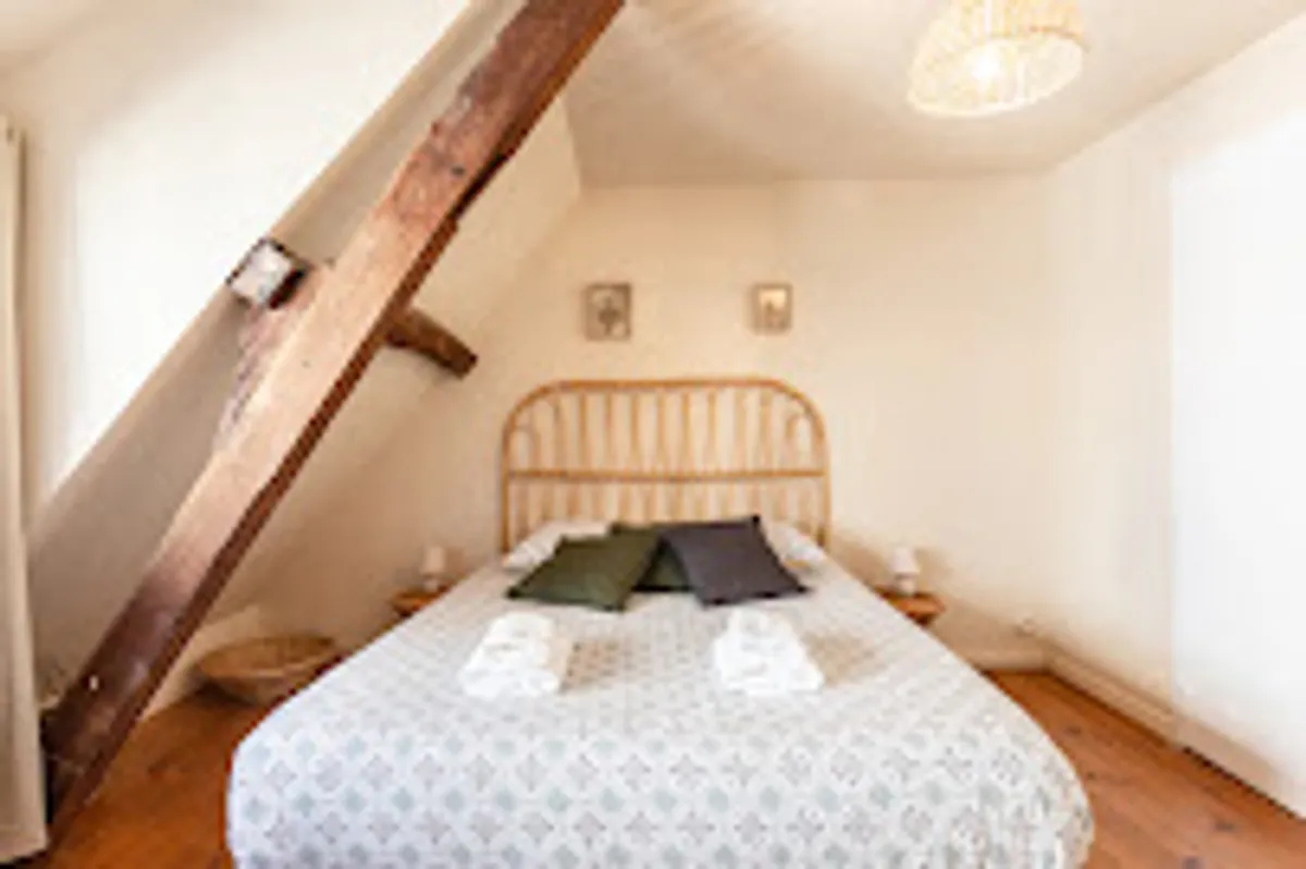 les oiseaux du corsaire - Photo 2