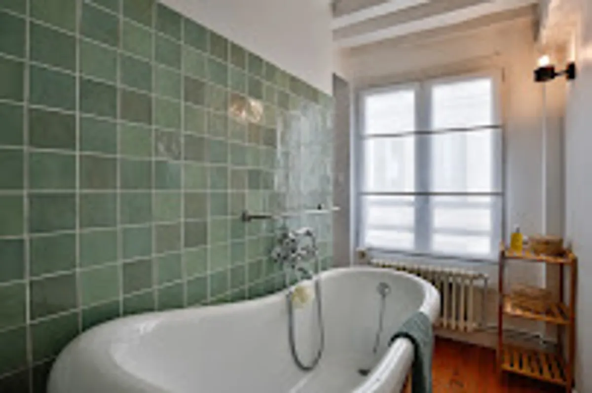 les oiseaux du corsaire - Photo 3