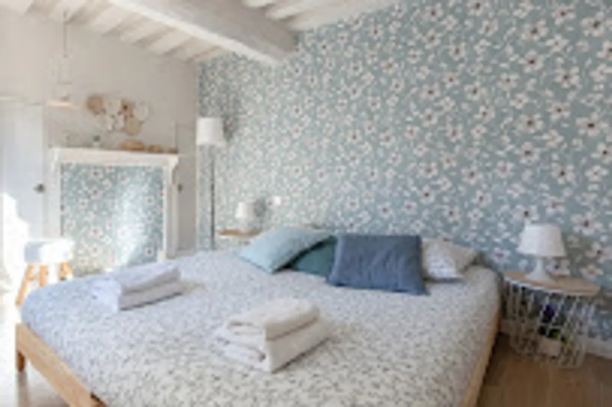 les oiseaux du corsaire - Photo 6