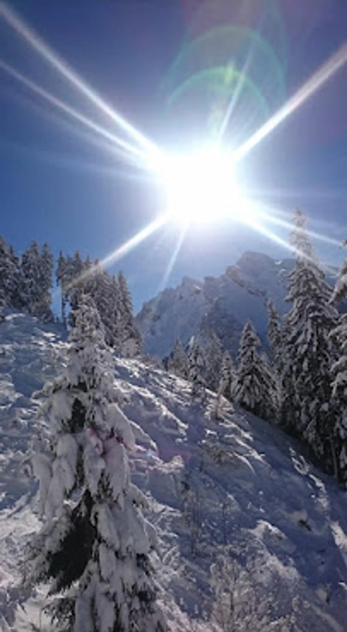 LES SERVICES D'ALINE LA CLUSAZ