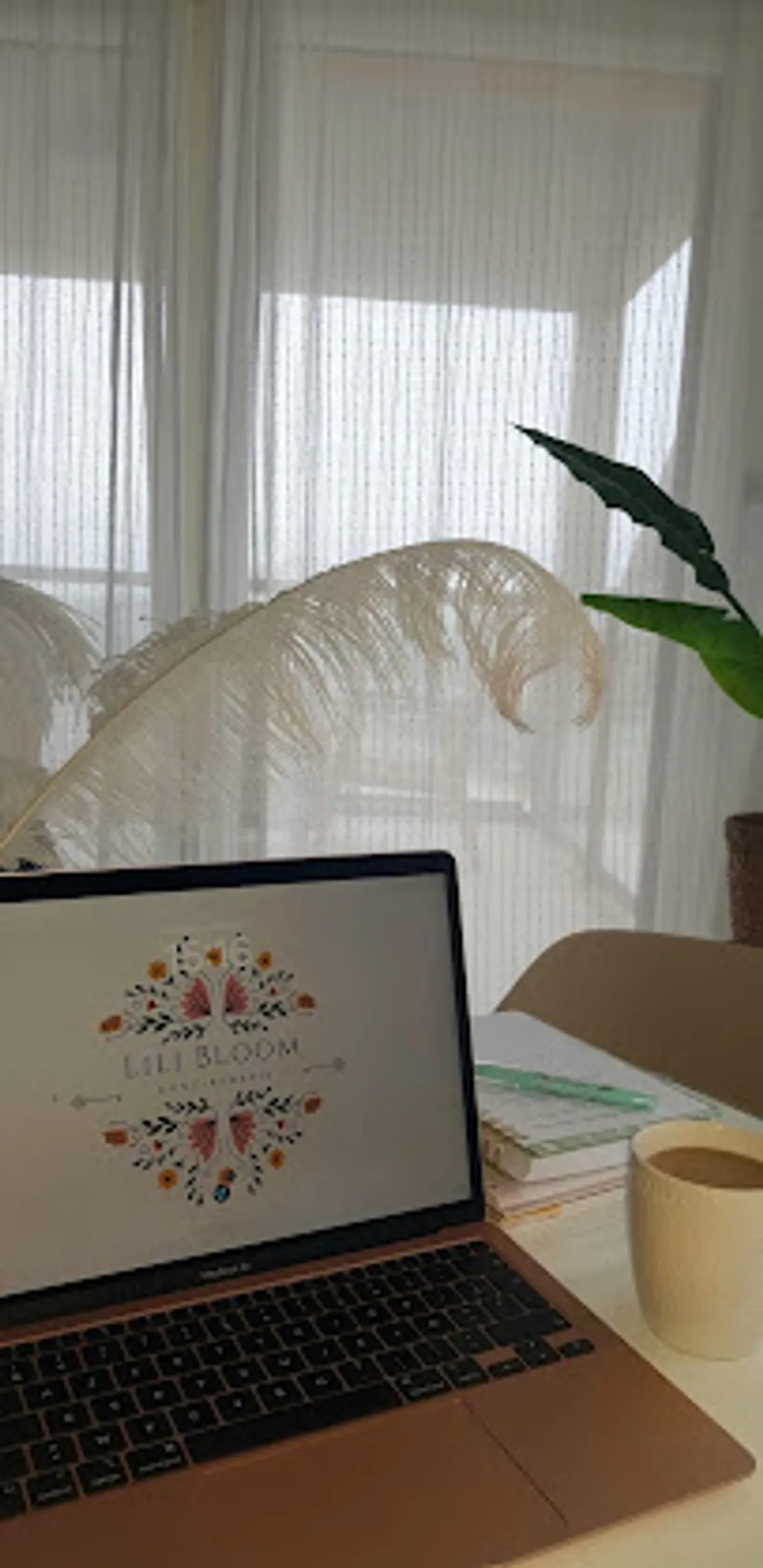 Lili Bloom Conciergerie - Photo 2