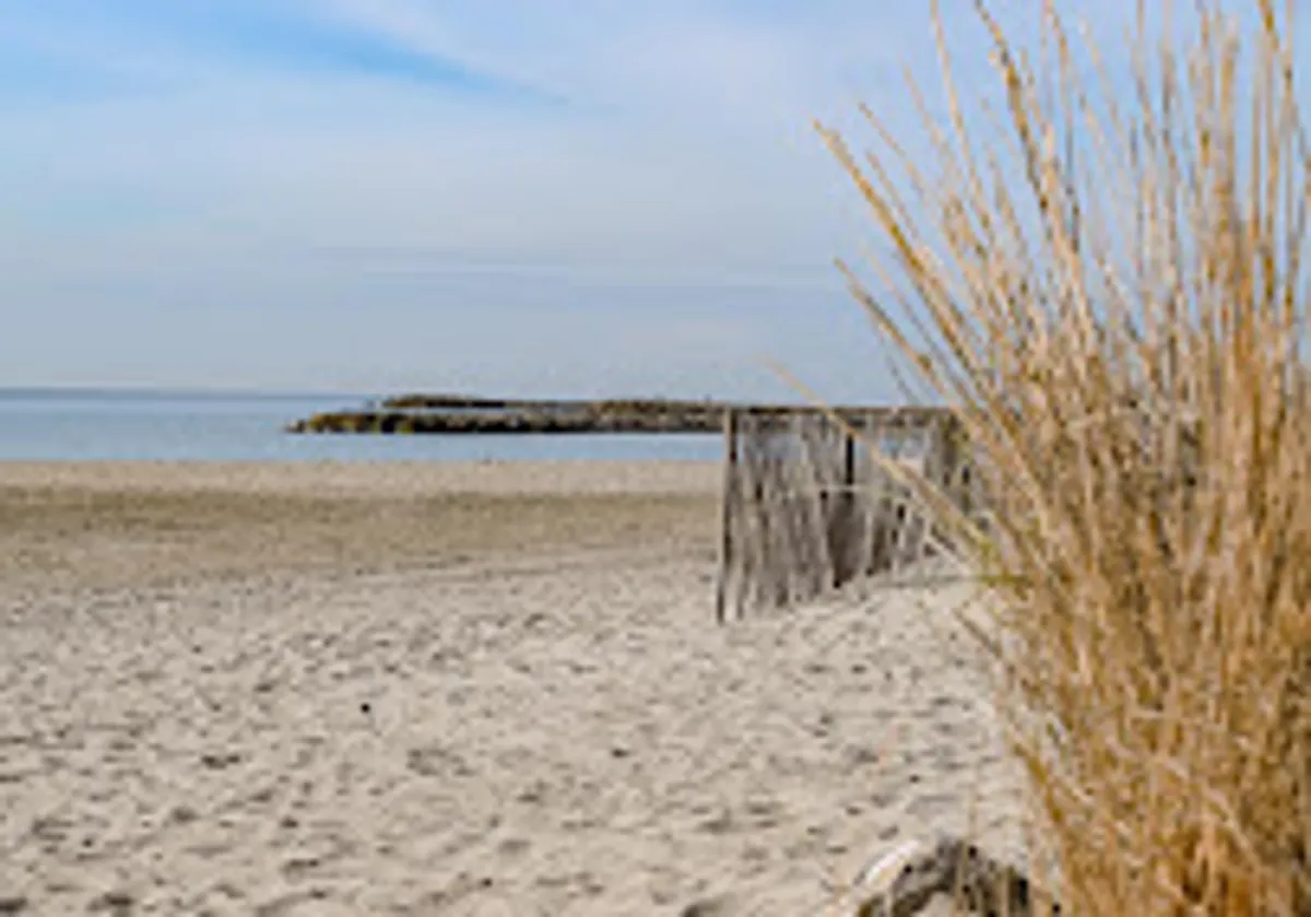 LM Sud Conciergerie - Photo 2