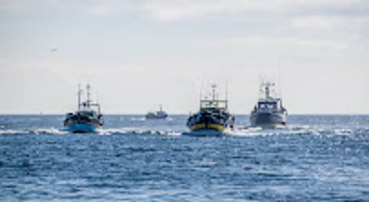 LocaLise - Location de vacances au Guilvinec et à Léchiagat + nettoyage de bureau ou espace commun en pays Bigouden. - Photo 6