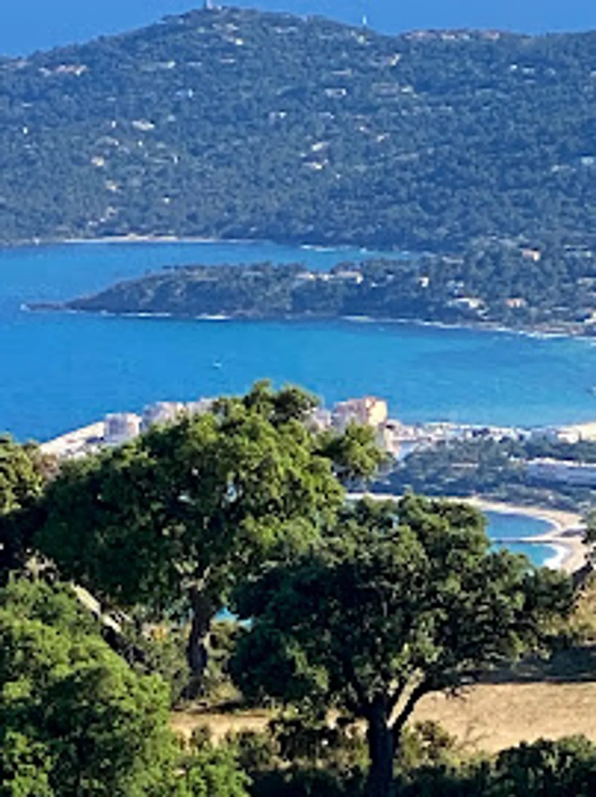 location villa bormes les mimosas - conciergerie - Photo 4