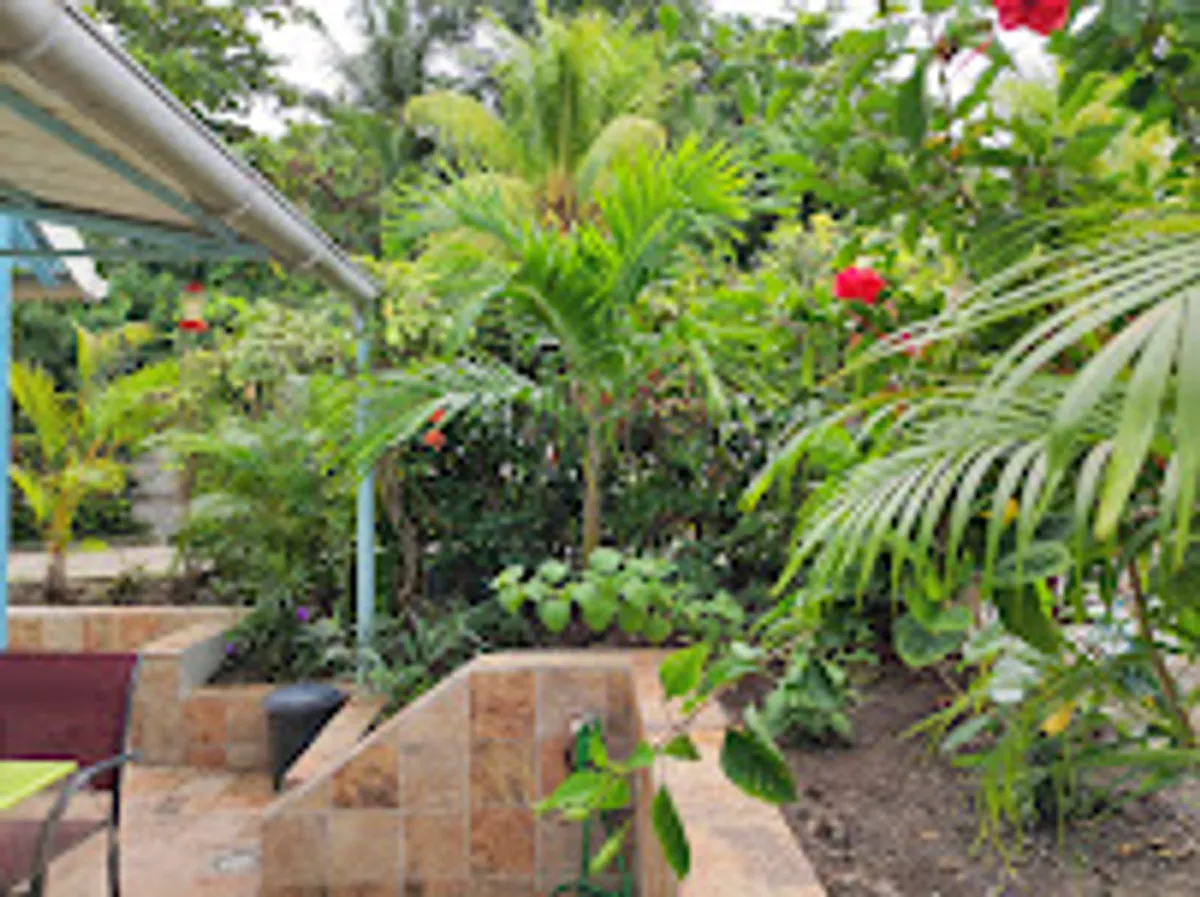 Location villa Colibri ble Sainte Anne Martinique - Photo 5