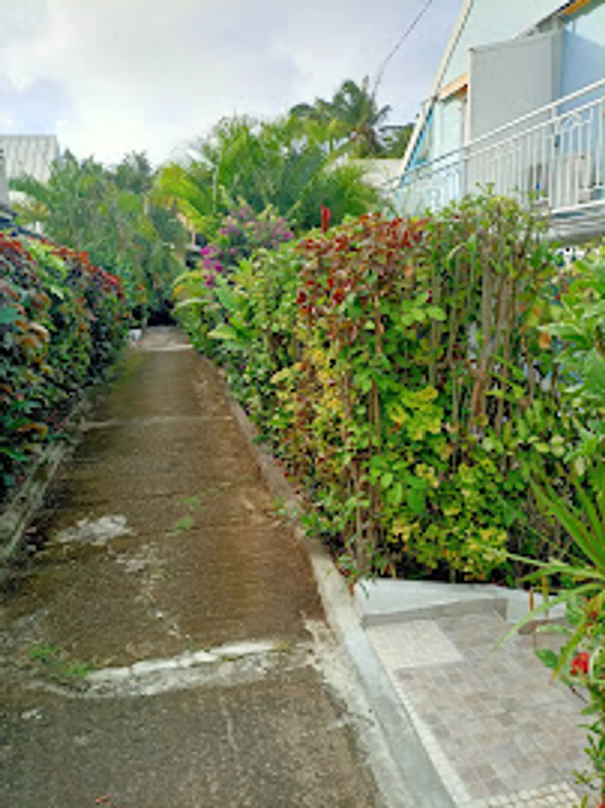 Location villa Colibri ble Sainte Anne Martinique - Photo 6
