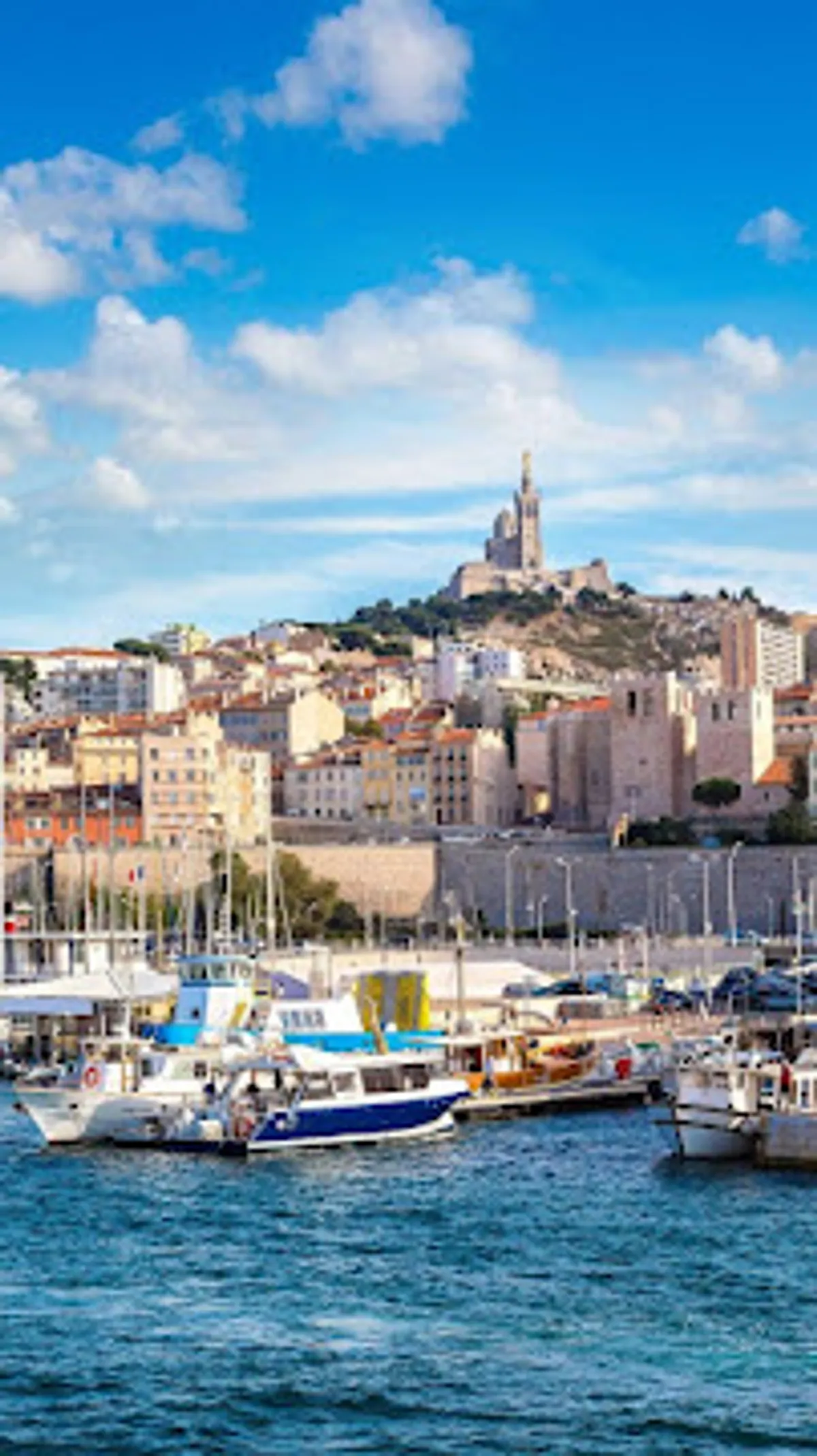 Lodge BNB - Conciergerie - Photo 4