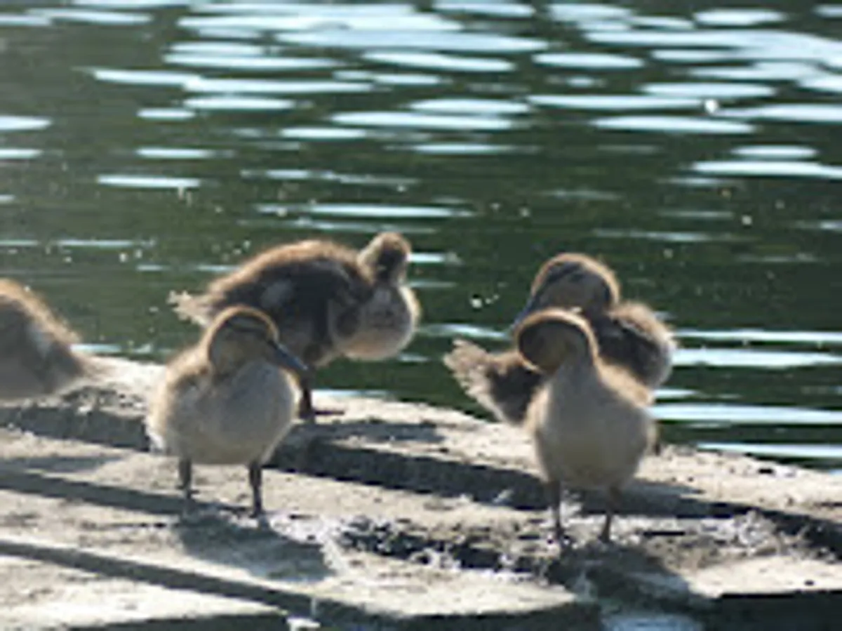 Lodging Conciergerie - Photo 4