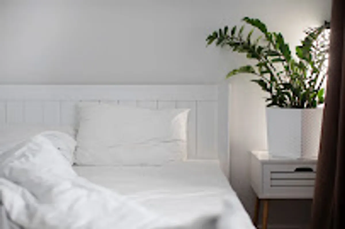 Lunova conciergerie - Photo 2