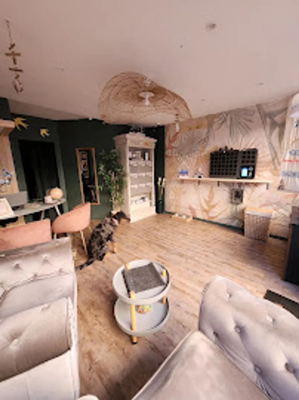 Luxury Cap Services Conciergerie - Photo 2