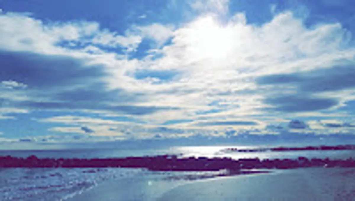 M.G. Conciergerie - Photo 6