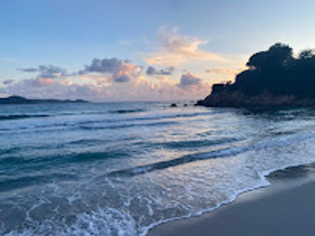 Madame est Servie - Conciergerie - Photo 7