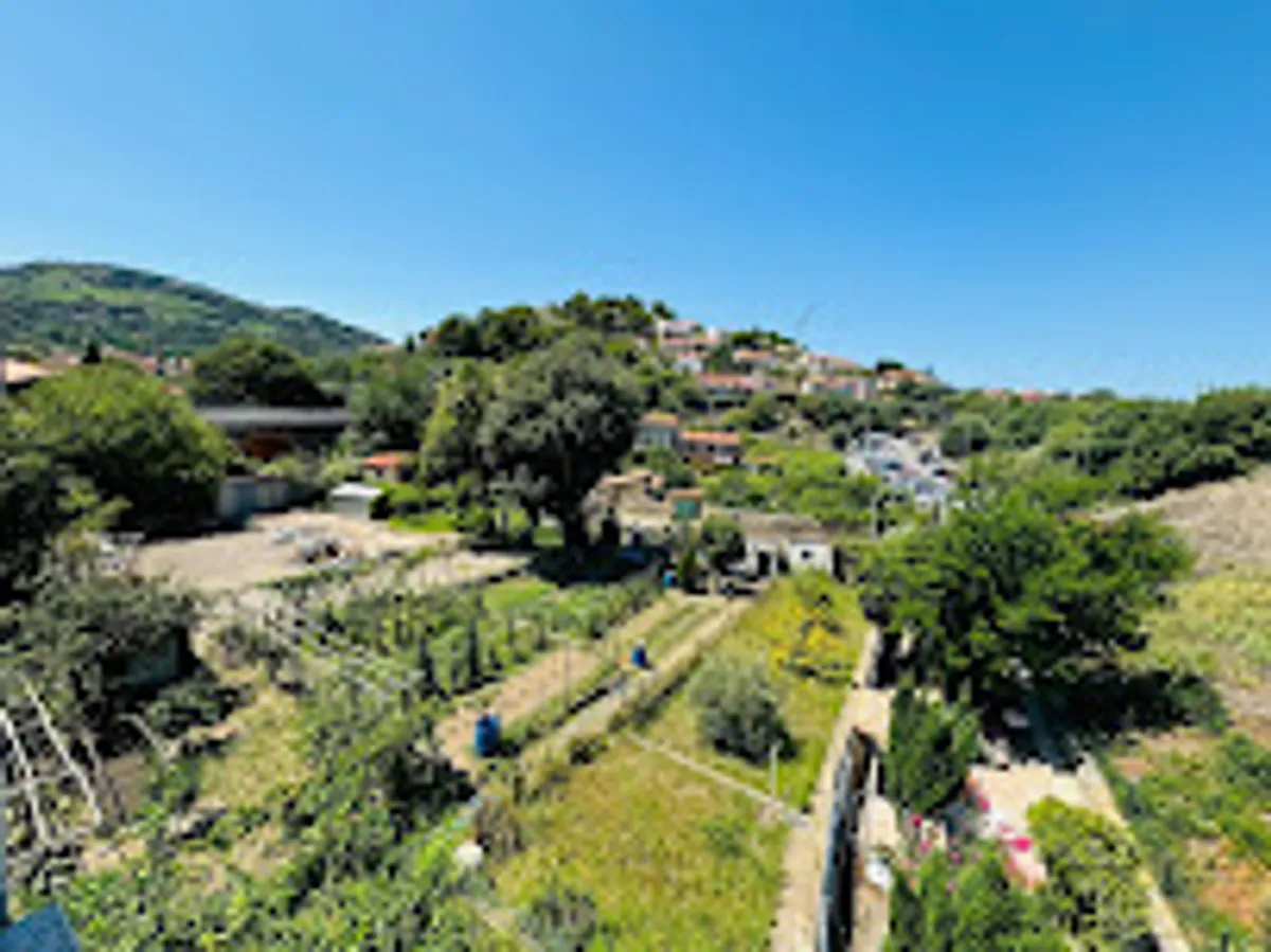 Majestic Key Conciergerie Collioure - Photo 6