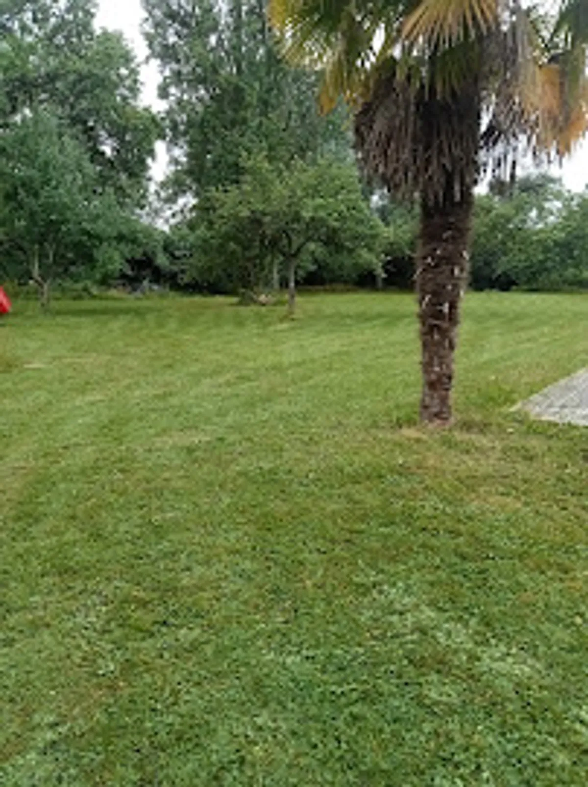 MC Conciergerie - Photo 3