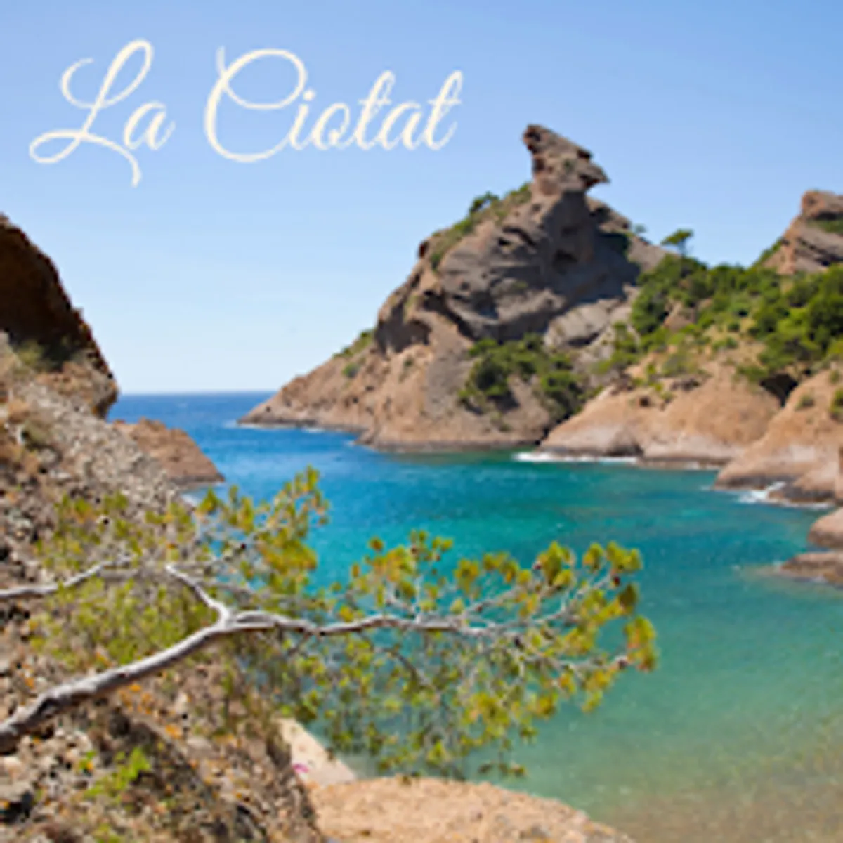 Mimi Évasion Conciergerie