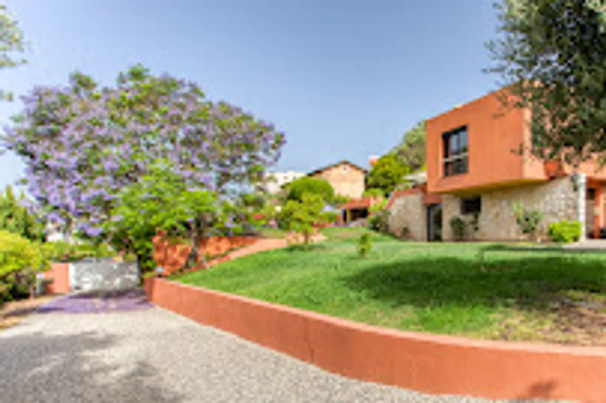 My Guest Relation - Photo 7