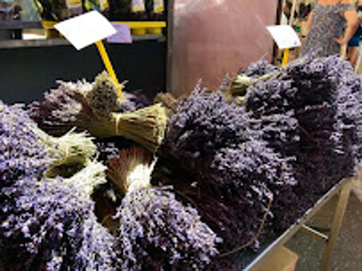 My House Manager - Photo 5