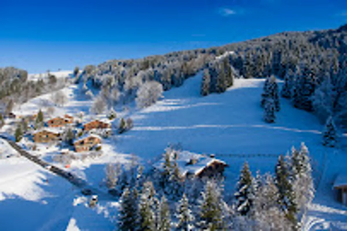 MY Rental Collection