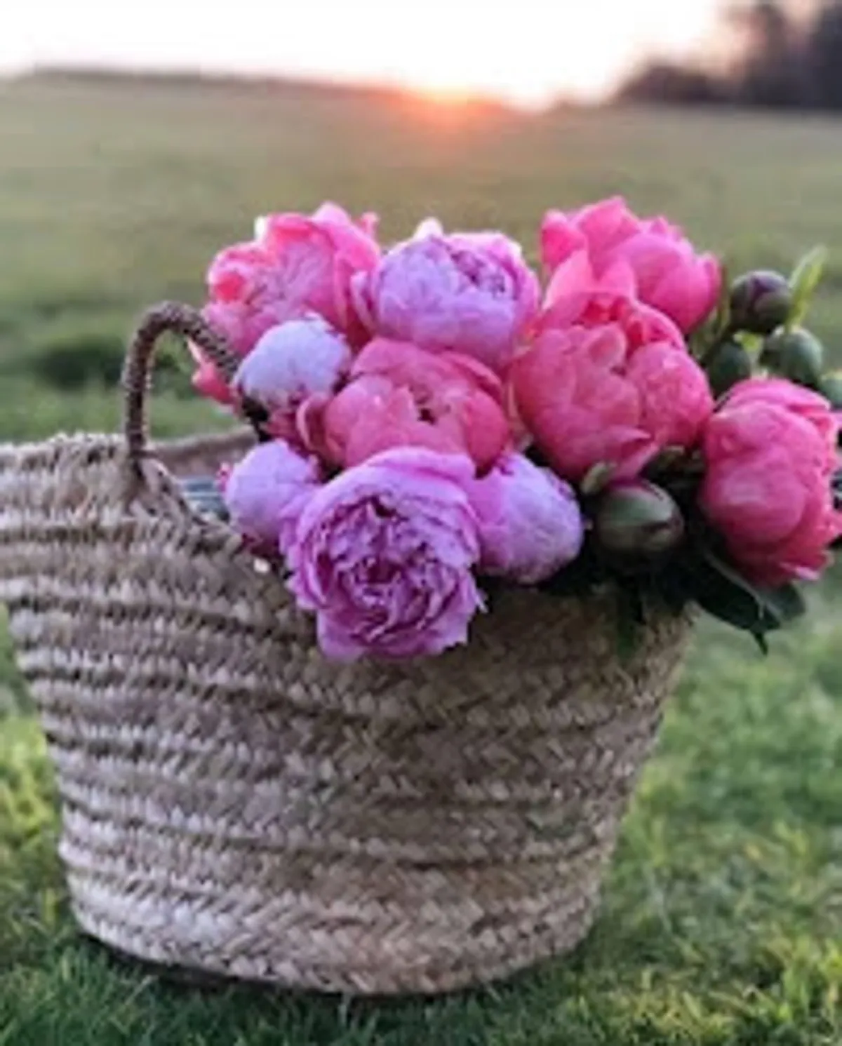 NAD'S CONCIERGERIE - Photo 8