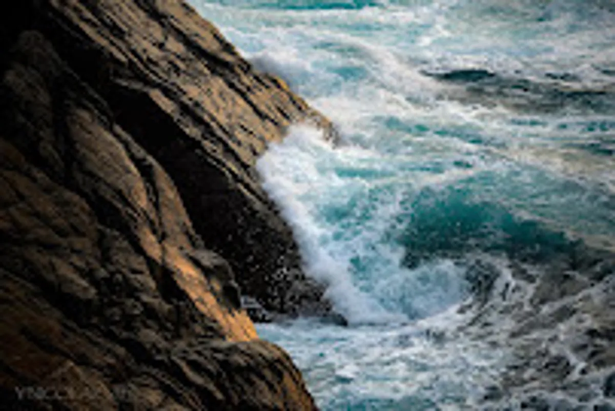 Need'Air Conciergerie - Photo 7