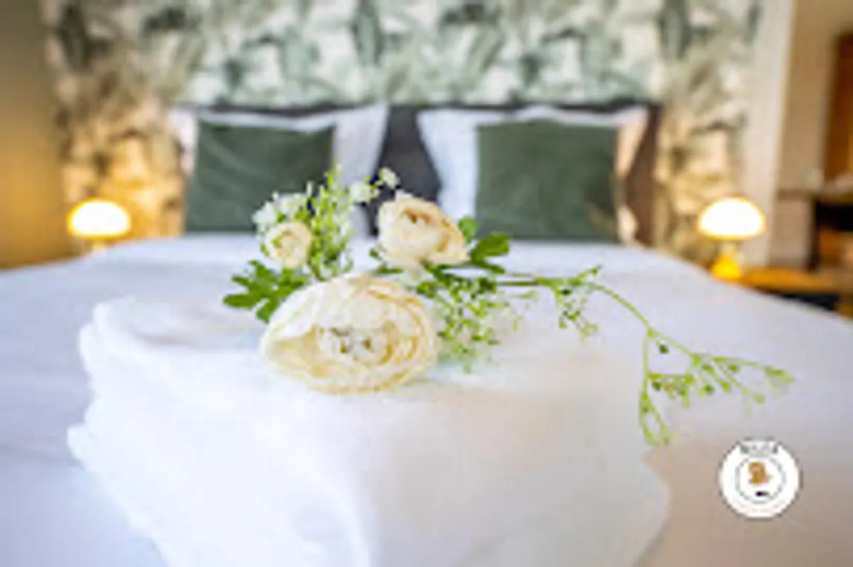 NILES Conciergerie Pau - Photo 4