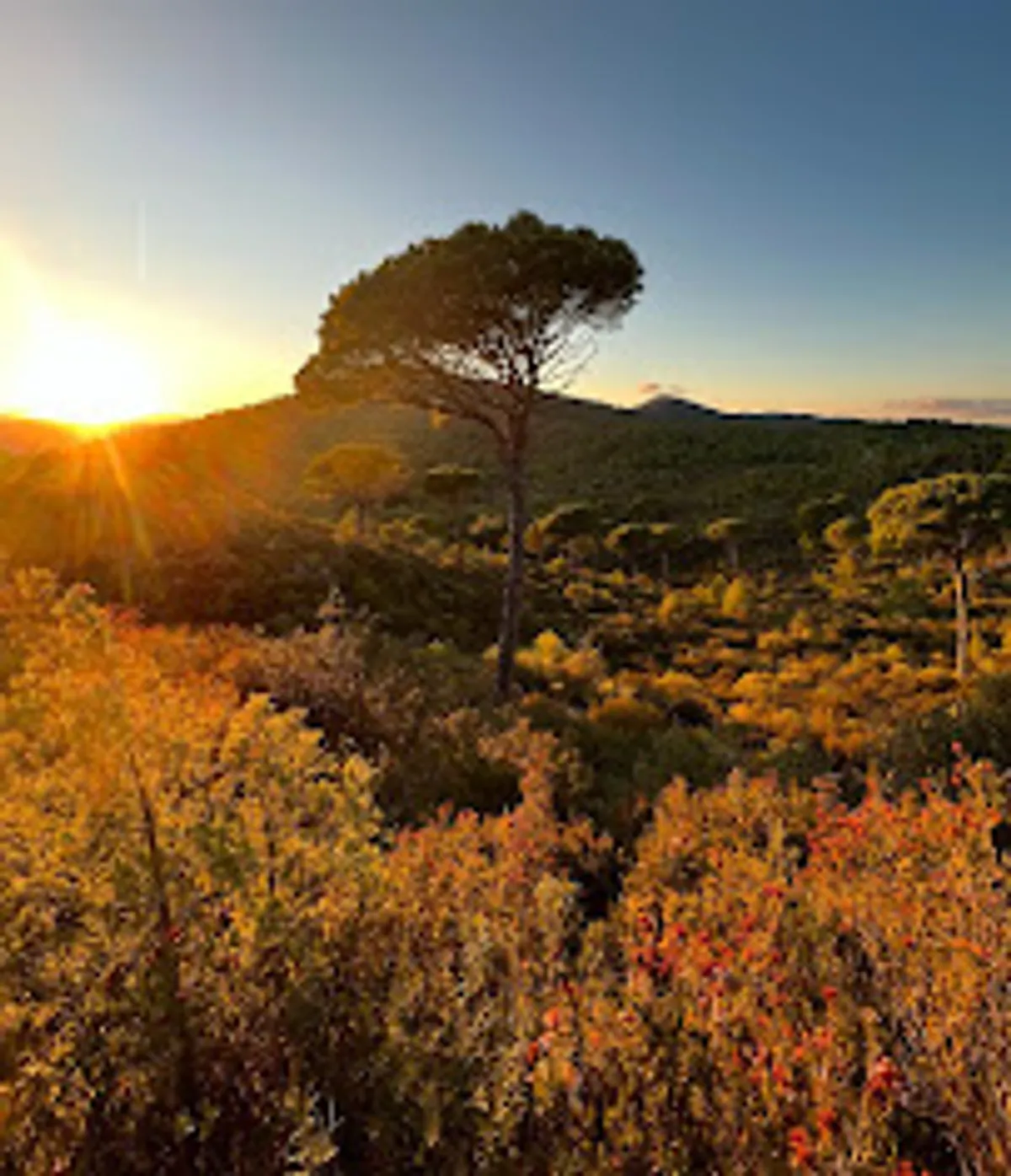 Notre Joli Sud Conciergerie - Photo 7