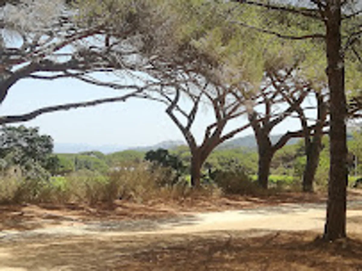 Notre Joli Sud Conciergerie - Photo 8