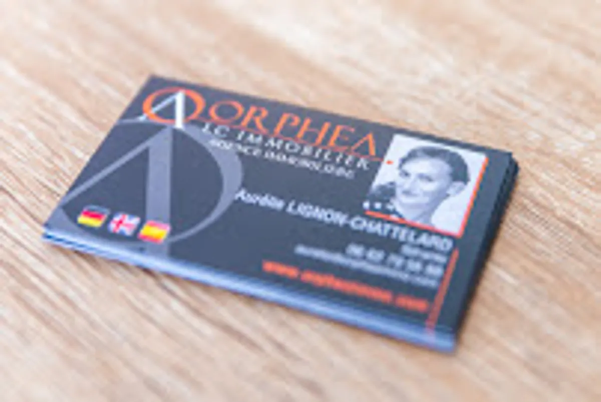 Orphea LC immobilier Guissan - Photo 7